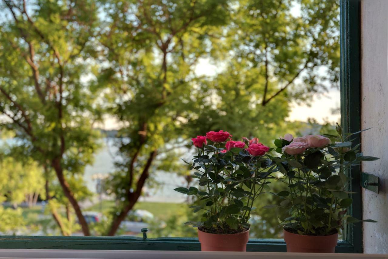 Apartment Oliveto Sibenik Exterior photo